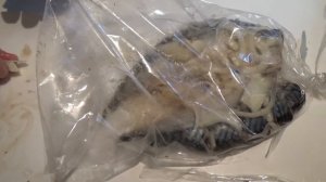 Обалдели когда попробовали ... И здоровая пища бывает вкусной... Скумбрия на пару в мультиварке.