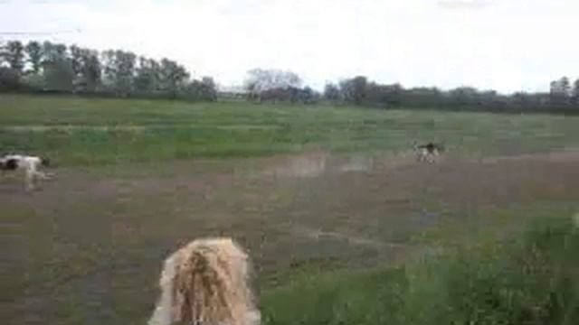 Курсинг Харьков смотреть онлайн