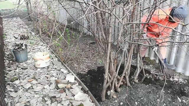 ОБРЕЗАЛИ ВИШНЮ/ УБОРКА НА УЧАСТКЕ/ ПЕРЕСАДИЛА КЛУБНИКУ/ВСКОПАЛА ОГОРОД смотреть онлайн