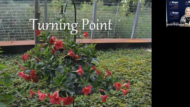 A Bench, a Tree, and a Flower: Nature's Effects on Health and Aging смотреть онлайн
