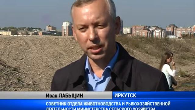 Мальков выпустили в Ангару смотреть онлайн