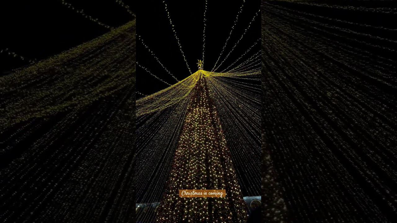 Christmas is coming #бишкек смотреть онлайн