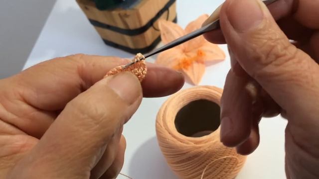 Spiegazione Dell'Ibisco All'uncinetto