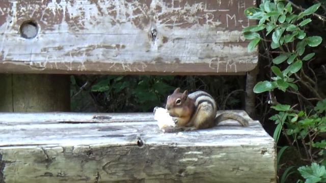 Подорож на Lake Louise. Провінція Альберта. Канада смотреть онлайн