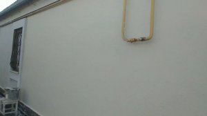 Как нанести Короед