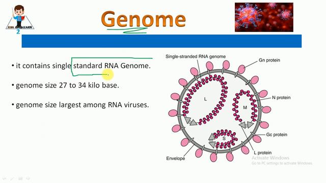 Corona virus/COVID - 19/UPSC/KPSC/PSI/PDO/FDA/SDA смотреть онлайн