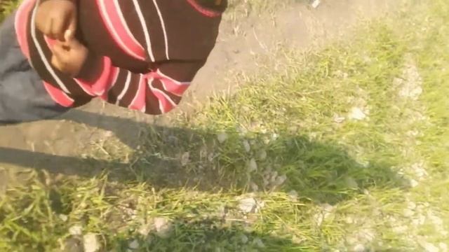 ক খ লিখা || ko kh likha poria | caton | kidis... смотреть онлайн