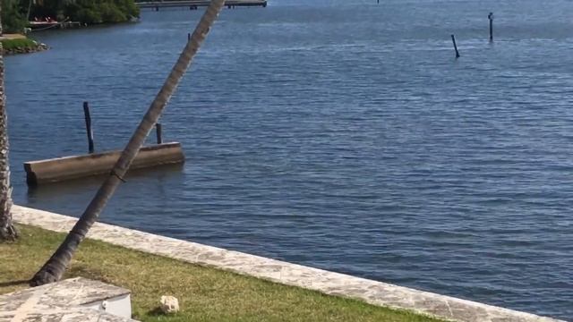 ЗАРПЛАТЫ В США смотреть онлайн