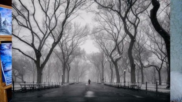 Вещий сон (рассказ)