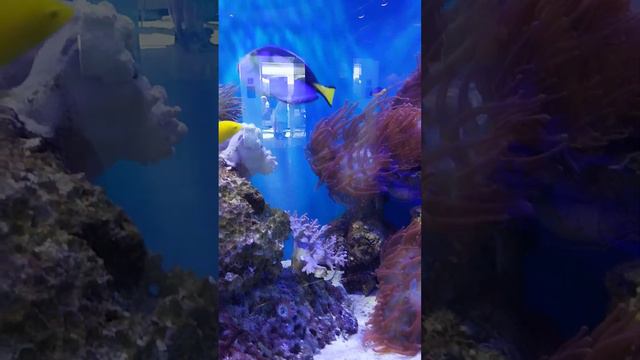 17 октября 2023 г. смотреть онлайн