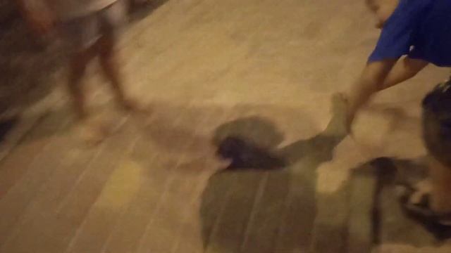 новости 2023 3 летняя девочка бьёт пацана который занимается 2 года дзюдо смотреть онлайн