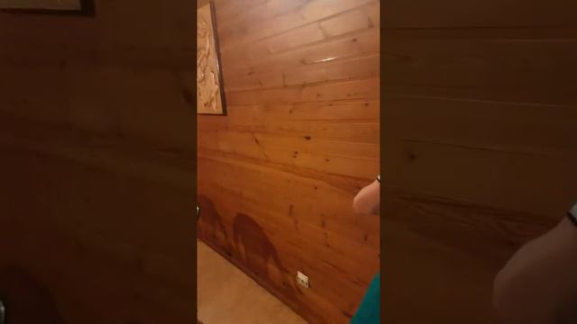 Экскурсия по бане смотреть онлайн
