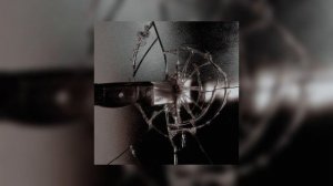 Зачем разбил моё лицо?... // speed up