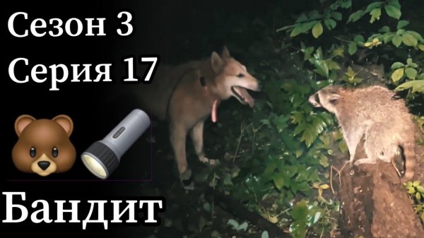 Коротаем межсезонье