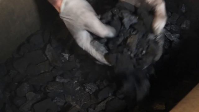 All About Springtails - Care, Culturing, Seeding & More смотреть онлайн