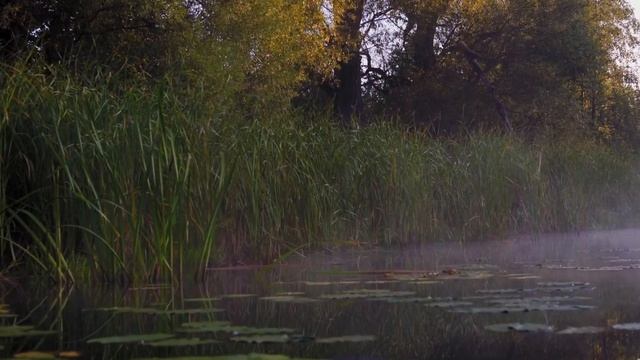 Утро на реке Воронеж смотреть онлайн