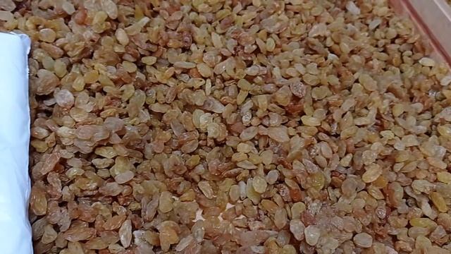 Прогулка около елки. Мы в интересном магазине. смотреть онлайн