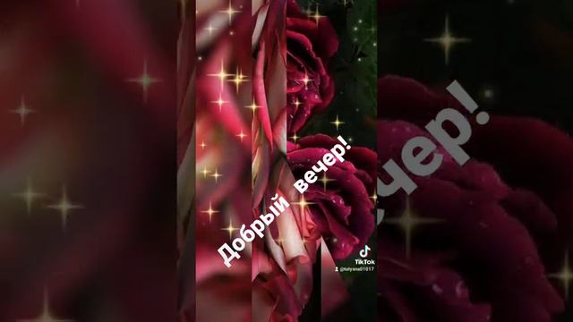 добрый вечер смотреть онлайн