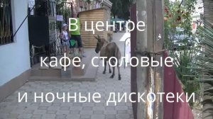 Цандрипш. Абхазия 2016. Куда сходить?