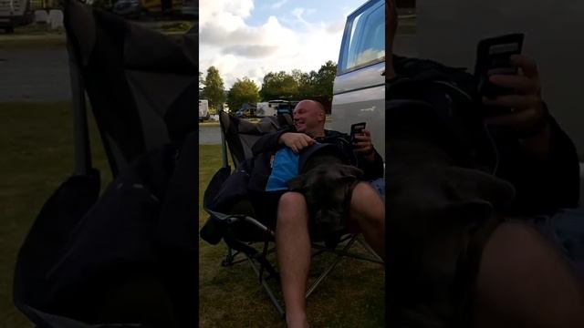 Mia the dog sleeping so sweet Сладкий собачий сон :) смотреть онлайн