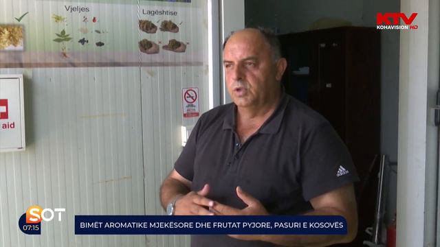Bimët aromatike mjekësore dhe frutat pyjore, pasuri e Kosovës 14 07 2021 смотреть онлайн