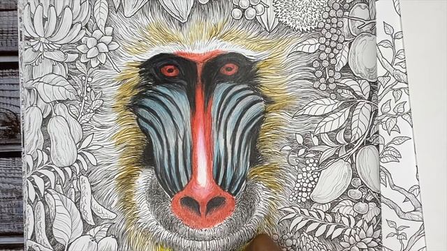 COLORING WITH BUDGET(STARYJOY/DELI) COLORED PENCILS|FRAGILE WORLD|KERBY ROSANES смотреть онлайн