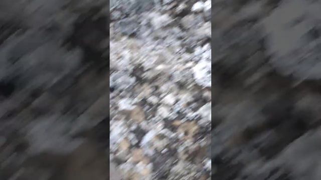 В Судаке не сильно бурная растительность на горе Алчак-Кая смотреть онлайн