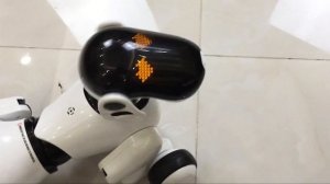 Обзор супер игрушки собаки-робота Puppy Go Smart Dog