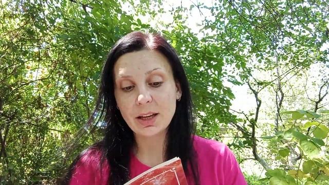 Тапас - основа духовной практики. Свами Вишнудевананда Гири.