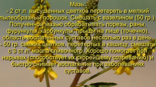 Рецепты для друзей и близких