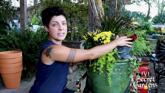 JVI's Garden Guides: Houseplant Care - Episode 3