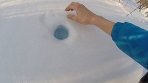 Как поймать ФАЗАНА на бутылку | Ловушка на ФАЗАНА