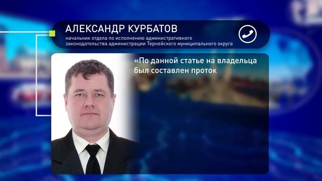 Поймать и отпустить: как в Приморье отлавливают бездомных собак \ Спецрепортаж смотреть онлайн