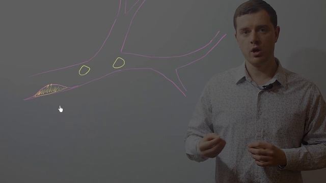 Тромбоциты. Тромбоэмболы