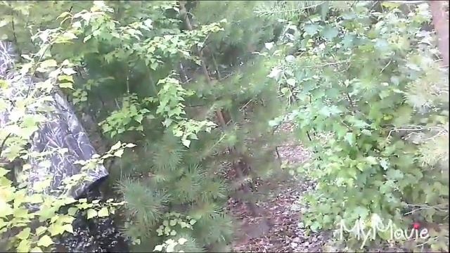 Рыбалка. Сургутский район смотреть онлайн