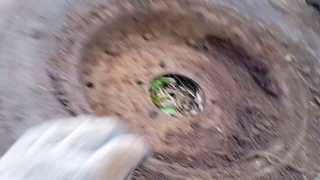 Тракторные колёса под ногами/металлоискатель пират. смотреть онлайн