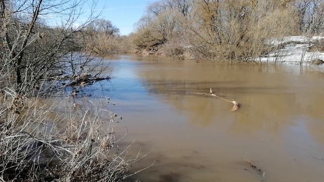 Серпухов | Половодье 2021 | Реки Ока и Нара | Плотина смотреть онлайн