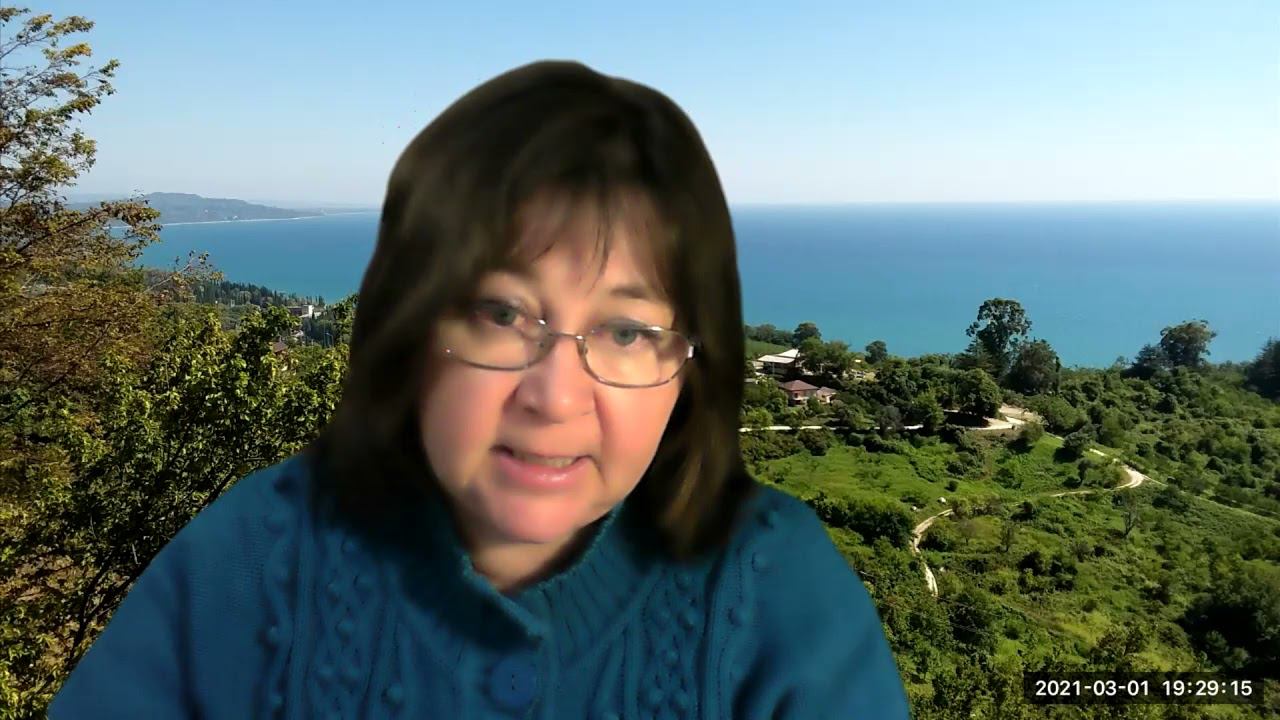 3  Обязанности Конституция