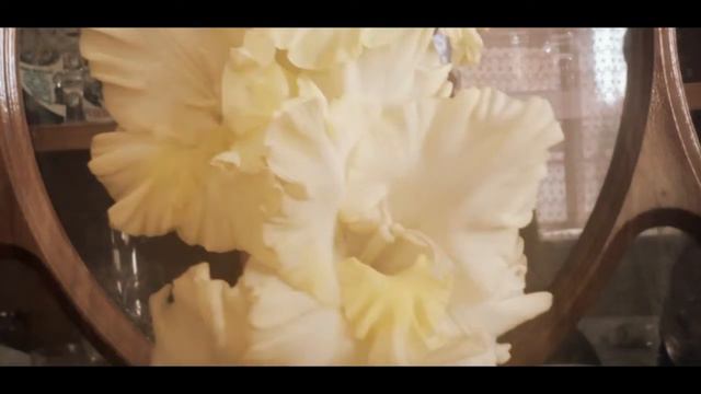 Немного очистила видео.Ребят ставьте лайки♥ смотреть онлайн