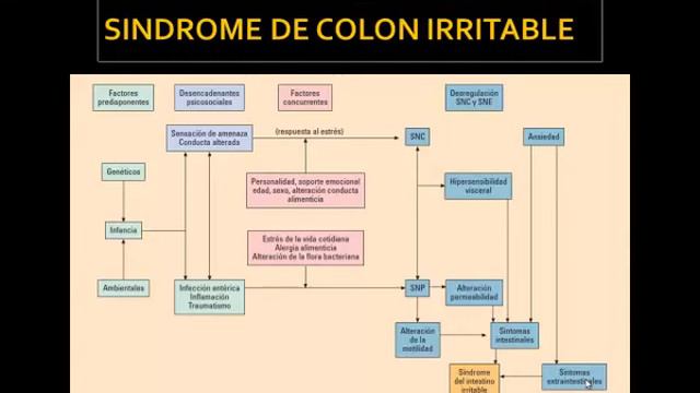 Tmmed gastroenterología - 4 5 смотреть онлайн