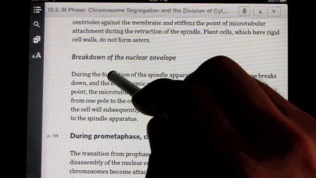 Inkling iPad App Walkthrough смотреть онлайн