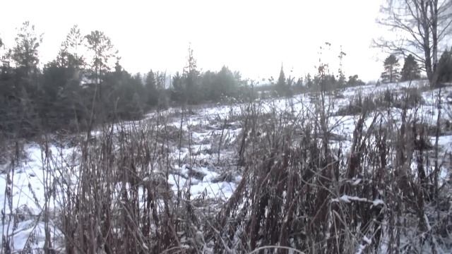 Закрыл сезон двухдневным шурфом... #407 смотреть онлайн