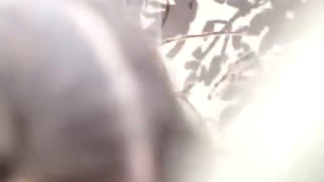 Анна Ковальчук читает сказку Пушкина смотреть онлайн