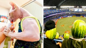 Что сегодня нам подготовил этот безумный мир?