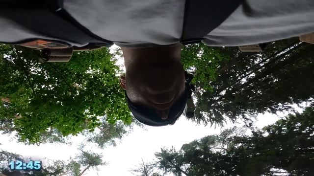 ОСЛЕП НА 24 часа ВЫЖИВАЮ в ЛЕСУ ОДИН ЦЕЛУЮ НОЧЬ ЧЕЛЛЕНДЖ смотреть онлайн