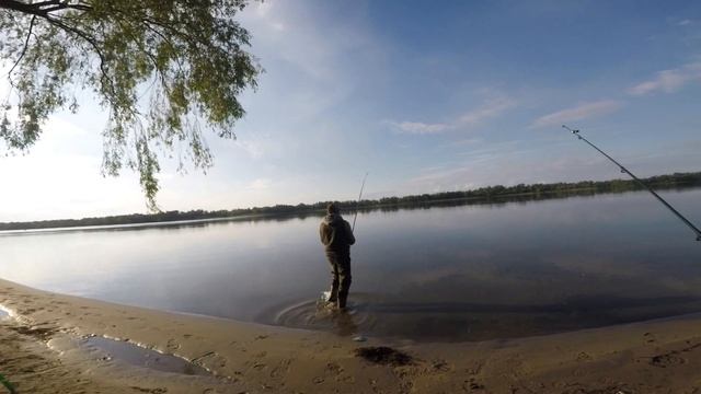 В ночь на СОМА ! Ночная рыбалка на сома. Эксперимент. Закидушки. смотреть онлайн