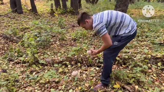 Оля, и ещё кто знает как эти звать?Вся в грибах, всё в грибах.Влог. Адамовка.2 октября 2023 г. смотреть онлайн
