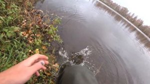 Рыбалка на щуку осенью - КАСТМАСТЕР или блесна КОЛЕБАЛКА? Основы ловли