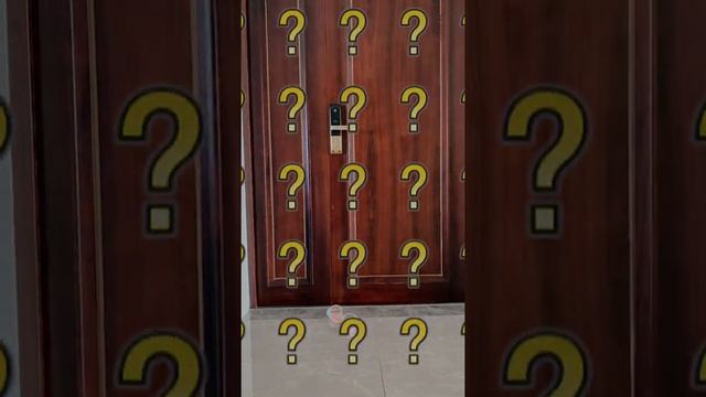 好多人問我為什麼光脚上學？ смотреть онлайн
