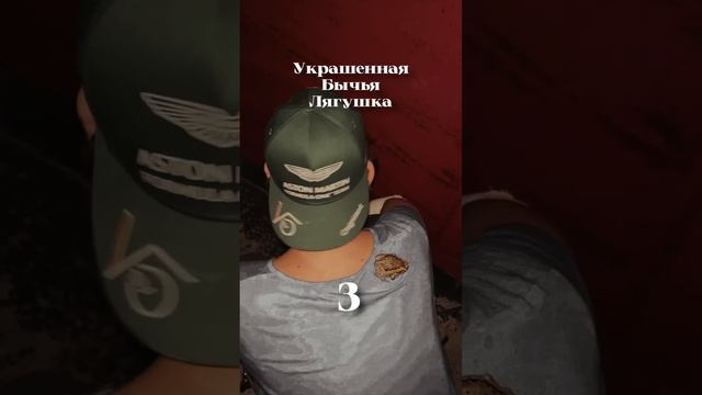 Ночные животные острова Самуи смотреть онлайн